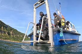 Image result for Leeds Free Divers Octopush Club