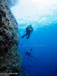 Image result for TAL Divers