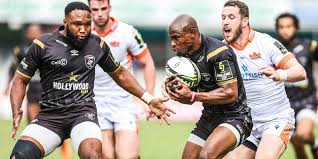 Image result for Edinburgh Bats Rugby