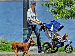 Image result for Bob Revolution Stroller Jennifer Garner