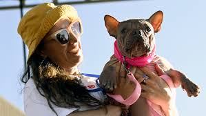 Image result for ugliest dog