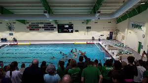 Image result for York University Swimming & Water Polo Club