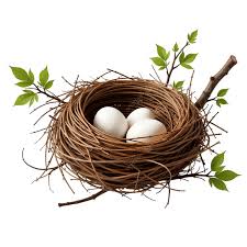 Attēlu rezultāti vaicājumam “nest”