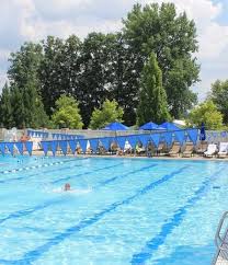 Image result for Bridgwater Amateur Swimming Club