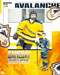 Image result for Ash Avalanche Skater Hockey Club