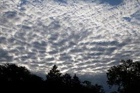 Attēlu rezultāti vaicājumam “altocumulus”