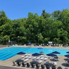 Image result for Ludlow Swimming Club