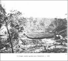 Image result for Blackwood Town Cricket Club