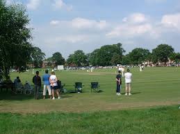 Image result for Methley Cricket Club
