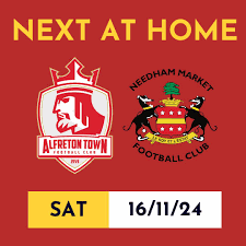 Image result for Needham Market Football Club