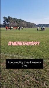 Image result for Langwathby Junior Badminton Club