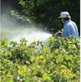 Herbicides non-selective herbicides and Selective weed killers ...