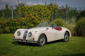 Image result for Old English White 1955 Jaguar