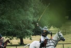Image result for Kirtlington Park Polo Club