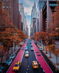 Image result for $$fall_akte__ort$$