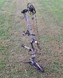 Image result for Assheton Bowmen Archery Club