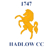 Image result for Hadlow Cricket Club