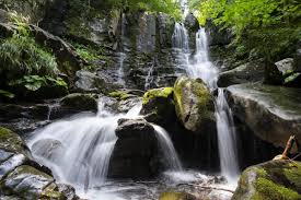 Image result for cascate del dardagna