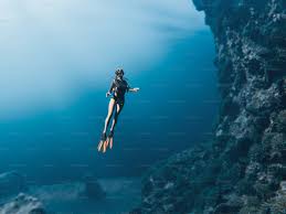 Image result for Deep Blue Diving