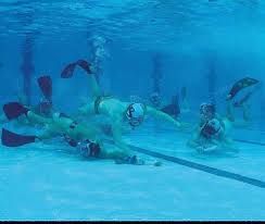 Image result for Inverness Octopush Club