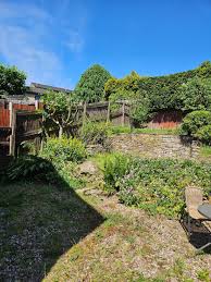 Image result for Stockport Sabres