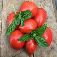 Afbeeldingsresultaat voor amish paste tomato