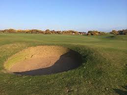 Image result for Clyne Golf Club Limited