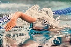 Image result for Greenwich Borough Mariners Swimming Club