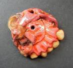 TERATOMA - DeviantArt