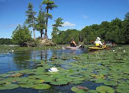 Image result for Kingston Kayak Club