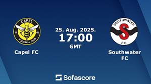 Image result for Capel Football Club