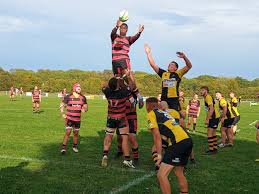 Image result for Wymondham Rugby Union Football Club