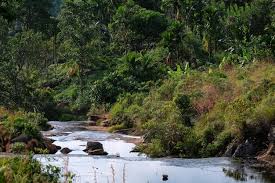 Image result for синхараджа