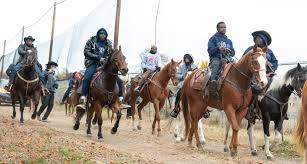 Image result for Cliff Hatch Stables