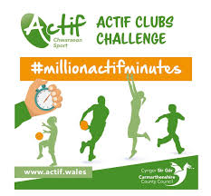 Image result for Carmarthen Twirlers