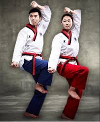 Image result for Association For Tae Kwon Do