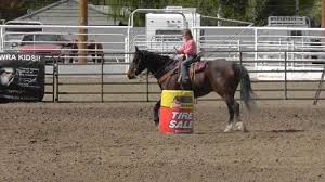 Image result for Kings Ranch Riding School/Club