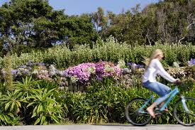 Image result for Isles Of Scilly Golf Club