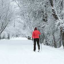 Image result for White Cross Ski Club