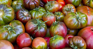 Afbeeldingsresultaat voor cherokee purple tomato