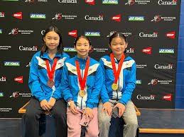 Image result for Silverleigh Junior Badminton Club