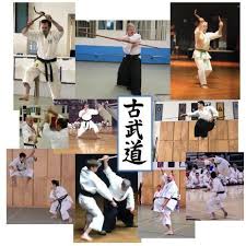 Image result for Devines Martial Arts