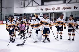Image result for Romford Raiders