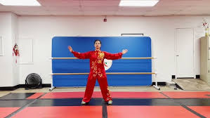 Image result for WUQI KUNG FU AND HEALTH SOCIETY