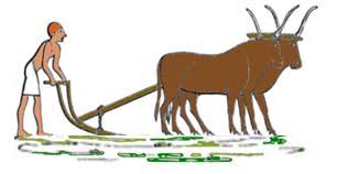 Image result for Plough Angling Society