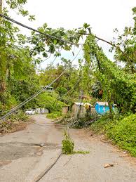 Image result for Woking Power