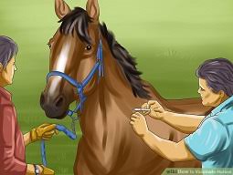 Image result for Fife Riding Club