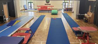 Image result for Stevenage Sports Acro Club