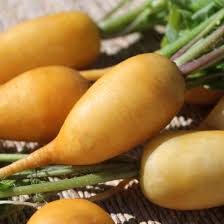 Image result for Rettich