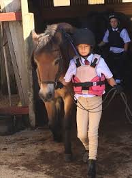 Image result for South Weylands Equestrian
